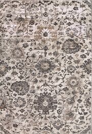 Dynamic Rugs RILEY 6034-908 Grey and Beige